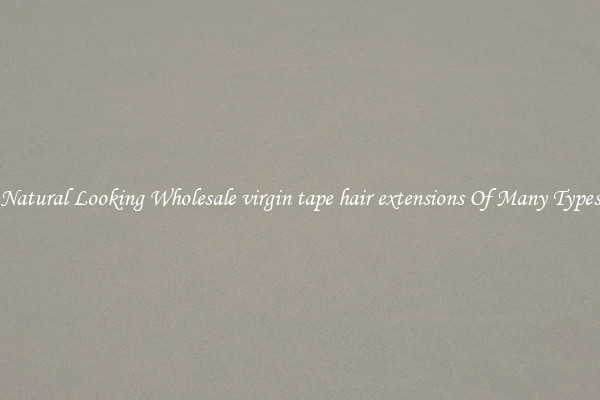 Natural Looking Wholesale virgin tape hair extensions Of Many Types