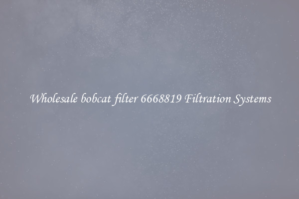 Wholesale bobcat filter 6668819 Filtration Systems