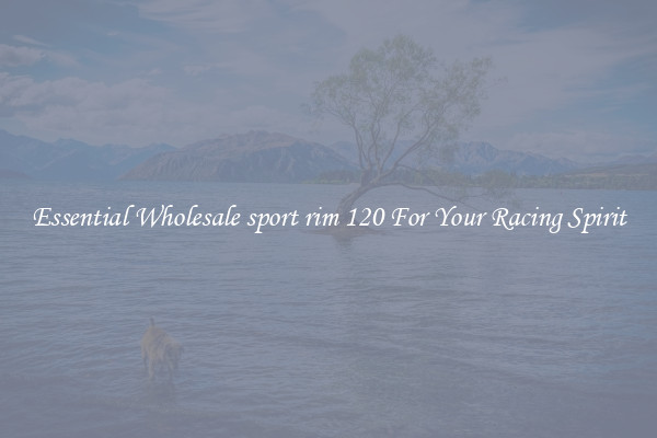 Essential Wholesale sport rim 120 For Your Racing Spirit