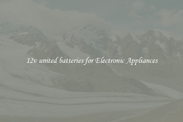 12v united batteries for Electronic Appliances