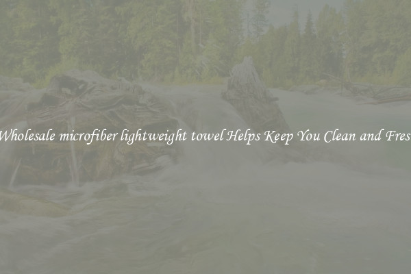 Wholesale microfiber lightweight towel Helps Keep You Clean and Fresh