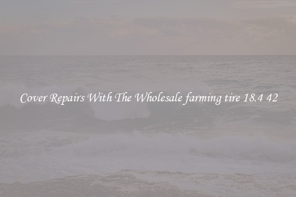  Cover Repairs With The Wholesale farming tire 18.4 42 