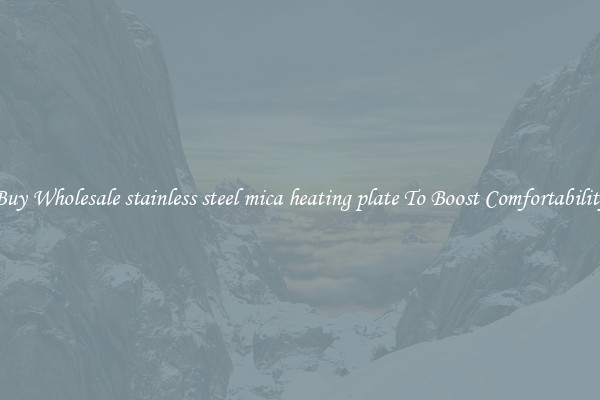 Buy Wholesale stainless steel mica heating plate To Boost Comfortability