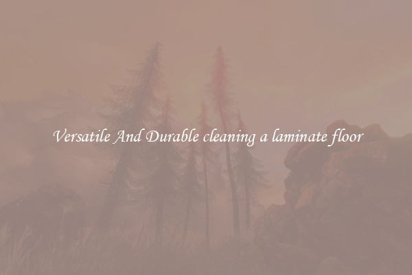 Versatile And Durable cleaning a laminate floor