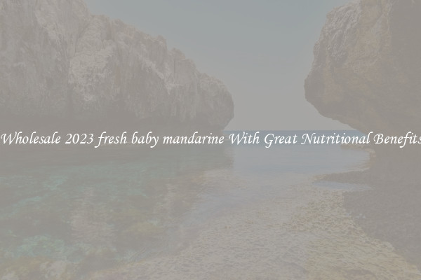 Wholesale 2023 fresh baby mandarine With Great Nutritional Benefits