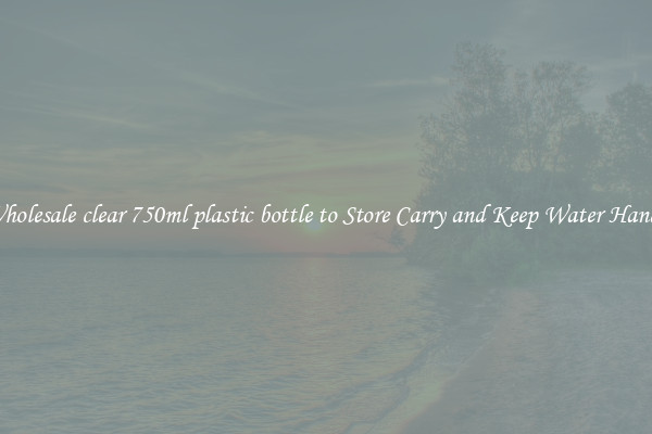 Wholesale clear 750ml plastic bottle to Store Carry and Keep Water Handy