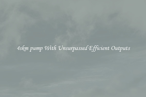 4skm pump With Unsurpassed Efficient Outputs
