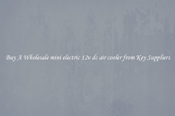 Buy A Wholesale mini electric 12v dc air cooler from Key Suppliers