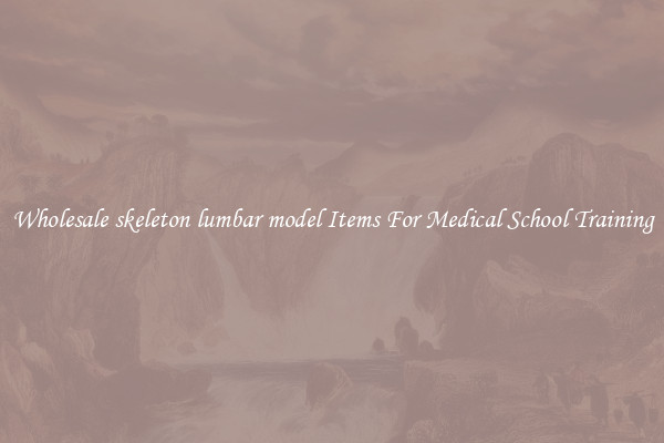 Wholesale skeleton lumbar model Items For Medical School Training