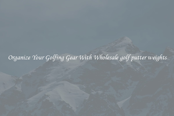 Organize Your Golfing Gear With Wholesale golf putter weights