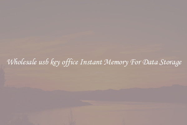 Wholesale usb key office Instant Memory For Data Storage