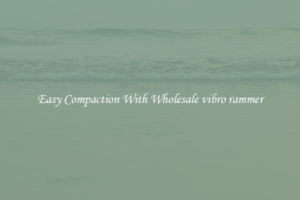Easy Compaction With Wholesale vibro rammer