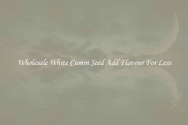 Wholesale White Cumin Seed Add Flavour For Less