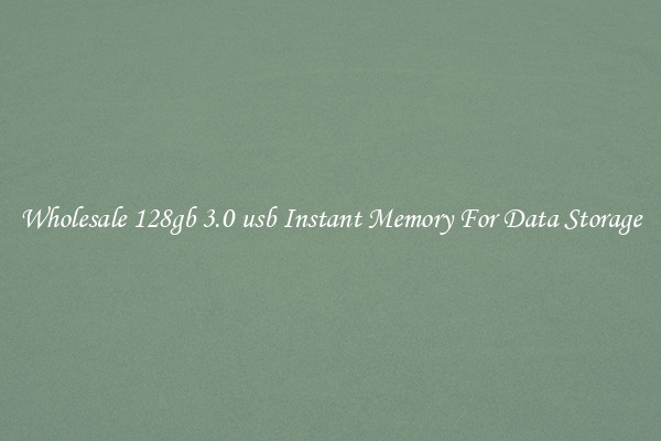 Wholesale 128gb 3.0 usb Instant Memory For Data Storage