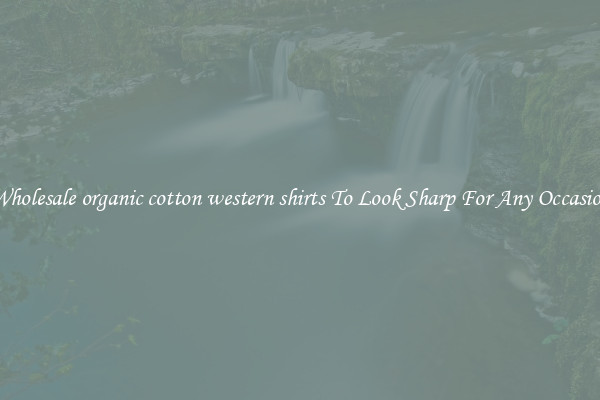 Wholesale organic cotton western shirts To Look Sharp For Any Occasion