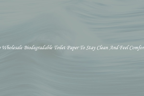 Shop Wholesale Biodegradable Toilet Paper To Stay Clean And Feel Comfortable
