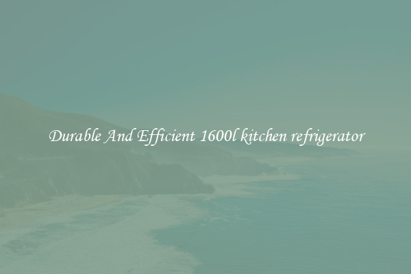 Durable And Efficient 1600l kitchen refrigerator