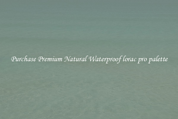 Purchase Premium Natural Waterproof lorac pro palette