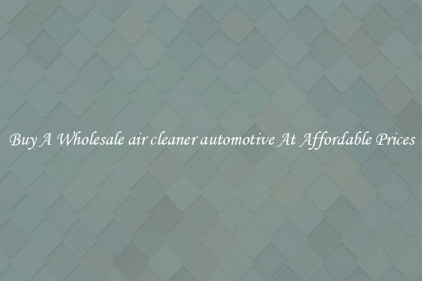 Buy A Wholesale air cleaner automotive At Affordable Prices