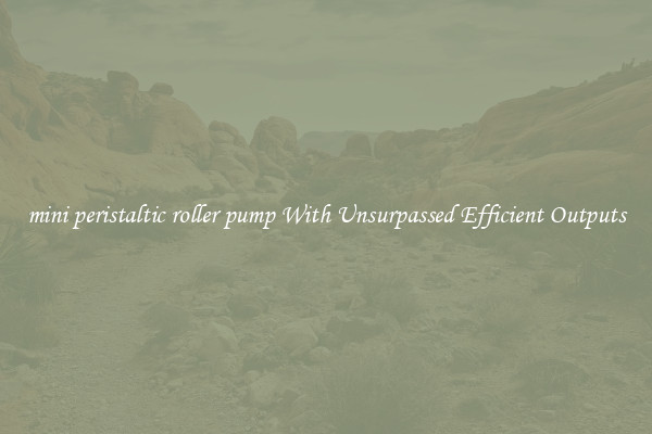 mini peristaltic roller pump With Unsurpassed Efficient Outputs